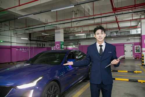 專業(yè)汽車銷售顧問(wèn) 商務(wù)車與豪車銷售的藝術(shù)與攝影